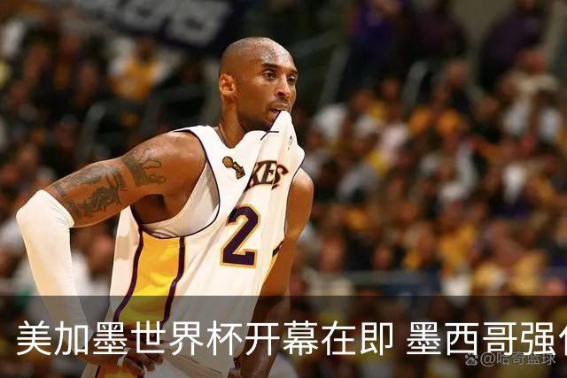美加墨世界杯开幕在即 墨西哥强化安保措施